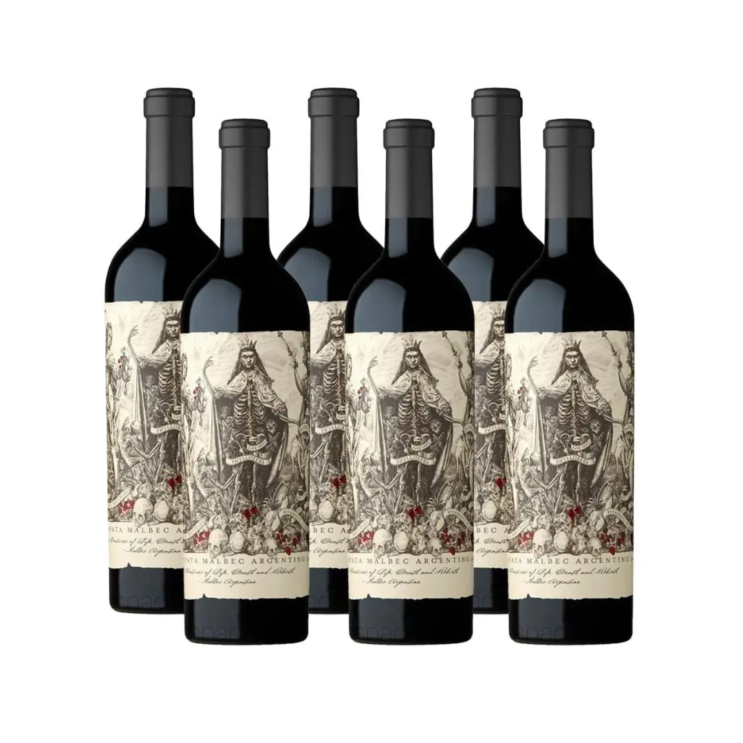 Malbec Argentino 2023 x6