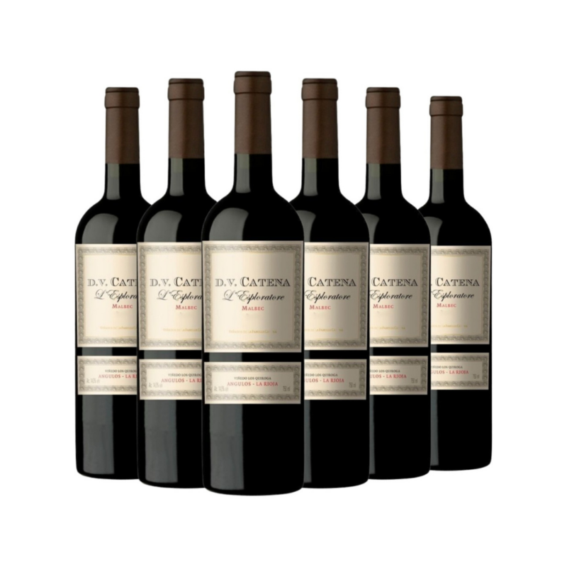 D.V Catena L'Esploratore Salta x6