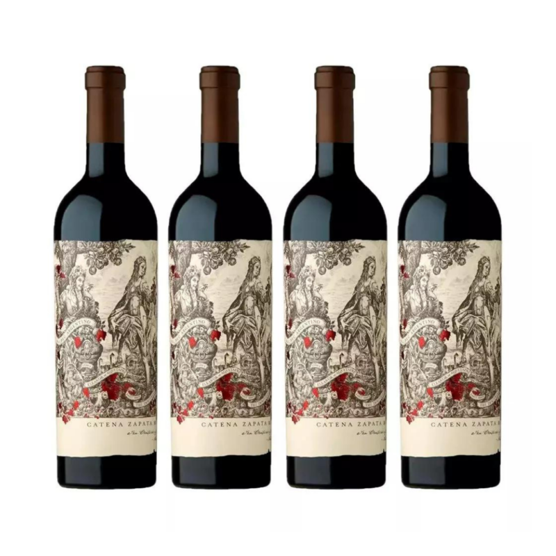 Malbec Argentino 2021 x4