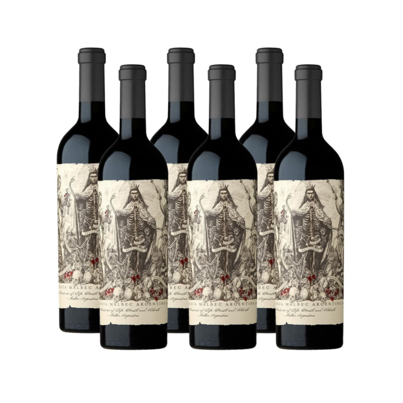 Malbec Argentino 2023 x6